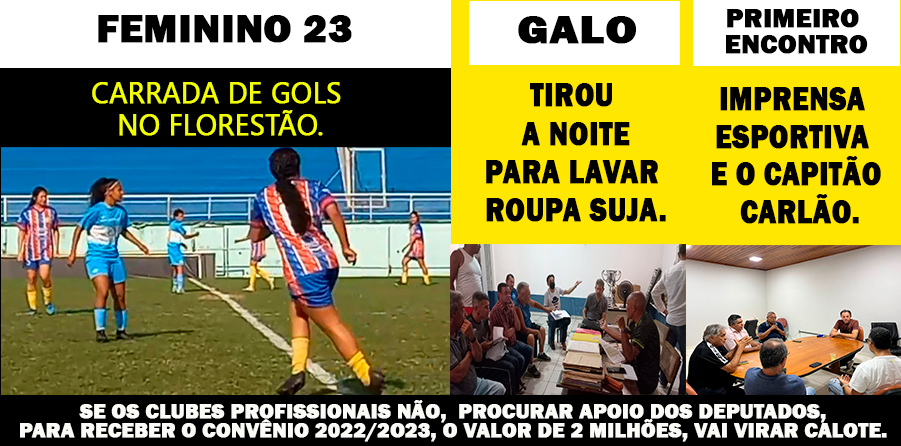 FEMININO 23