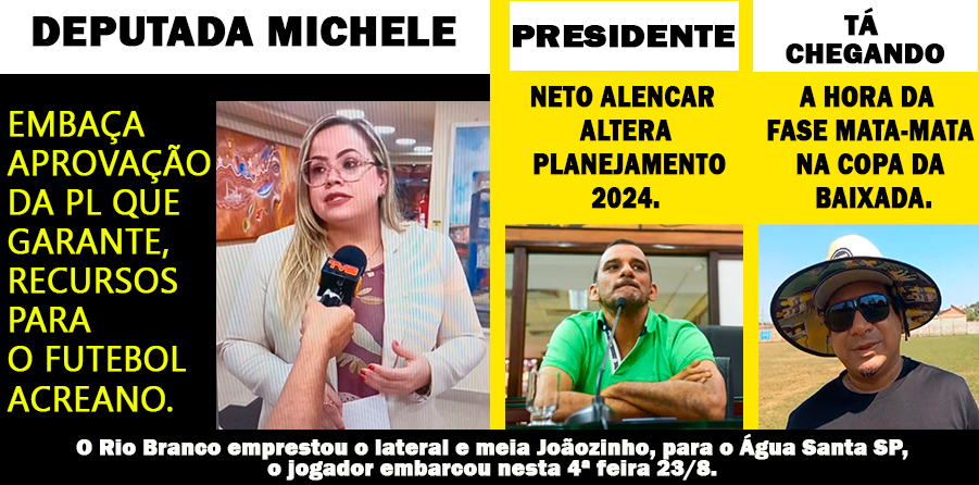 DEPUTADA MICHELE